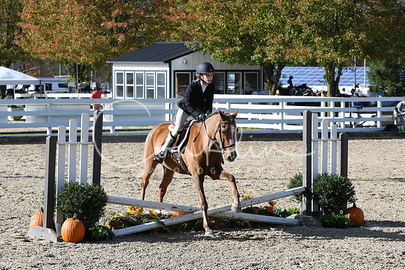 HSM_2711