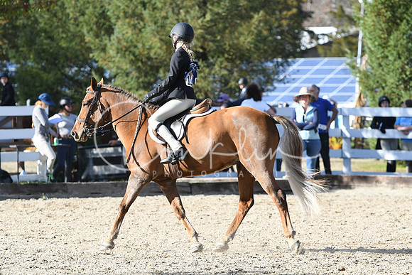 HSM_2764