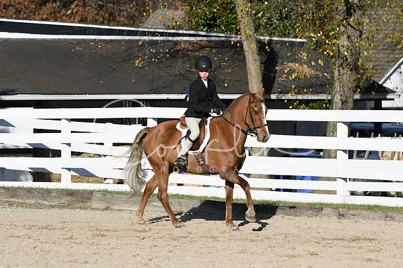 HSM_2940