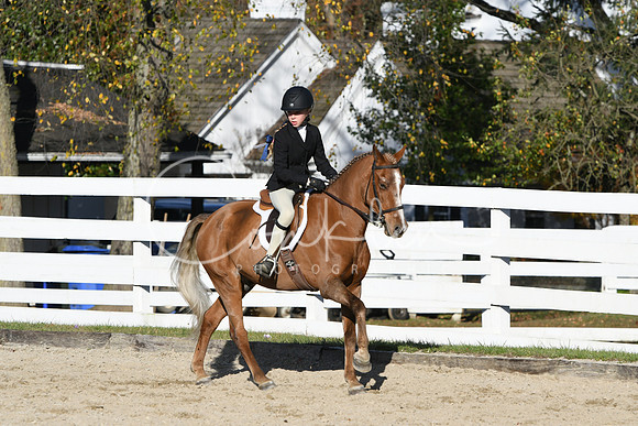 HSM_2941