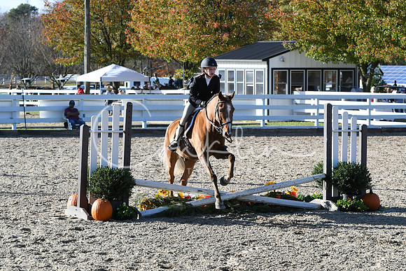 HSM_2942