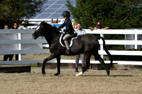 HSM_2155