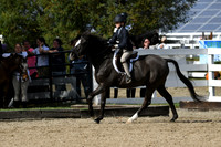 HSM_2156