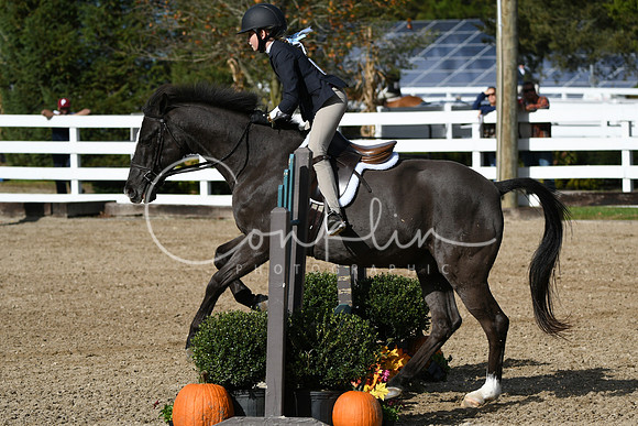 HSM_2160