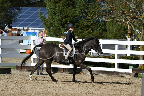 HSM_2161