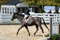 HSM_2209