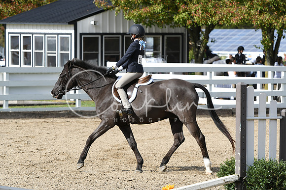 HSM_2209