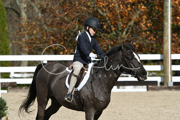 HSM_2211
