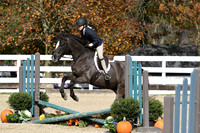 HSM_2213