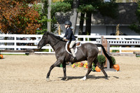 HSM_2214