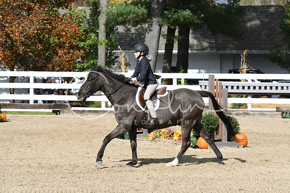HSM_2214