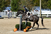 HSM_2215