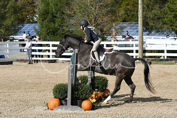HSM_2215