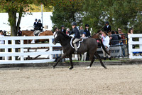 HSM_2217