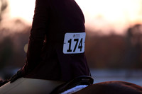 RJC39041