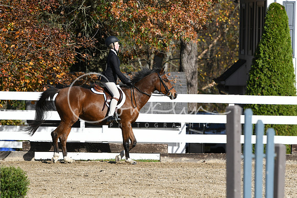 HSM_1672