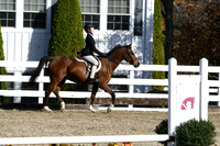 HSM_1673