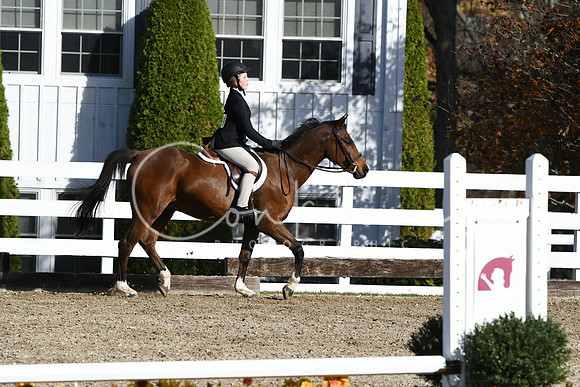 HSM_1673