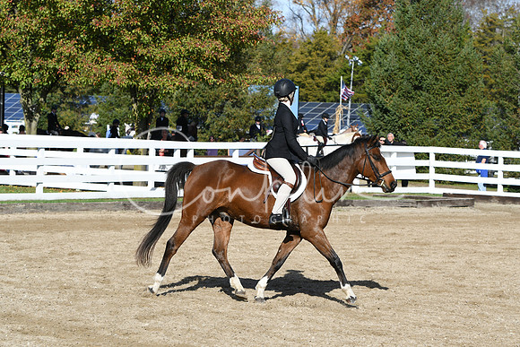 HSM_1698
