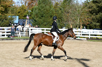 HSM_1699