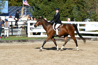 HSM_1701