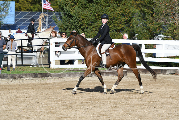 HSM_1701