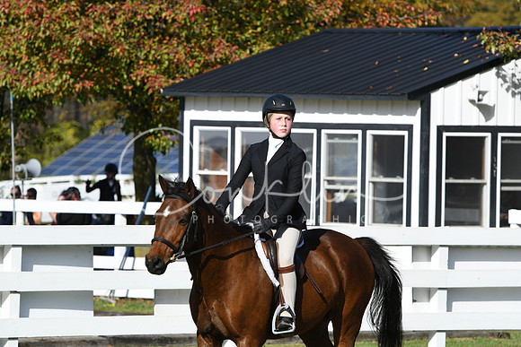 HSM_1702