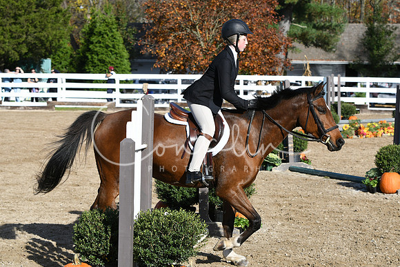 HSM_1703