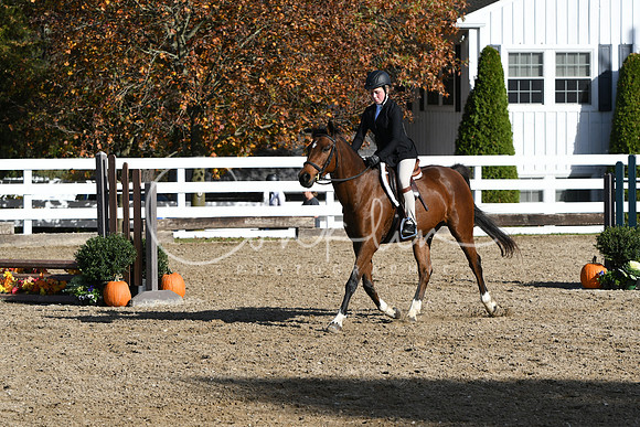 HSM_1705