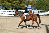 HSM_1707