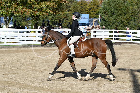 HSM_1707