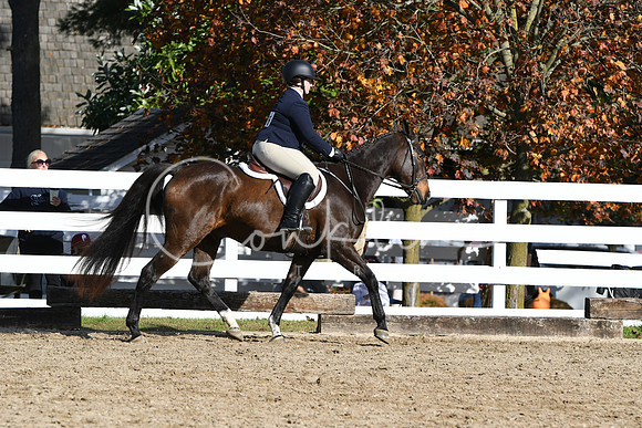 HSM_1779