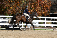 HSM_1780
