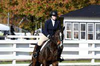 HSM_1828