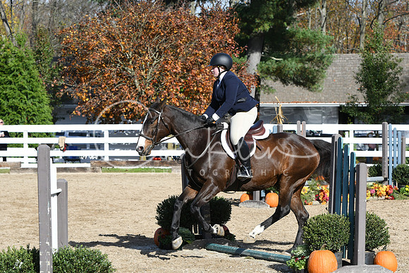 HSM_1831