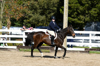 HSM_1834