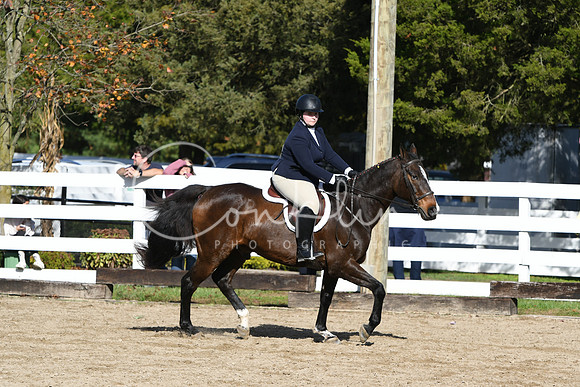 HSM_1834