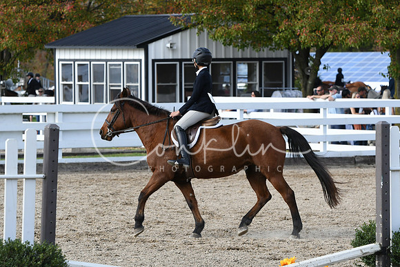 HSM_2440