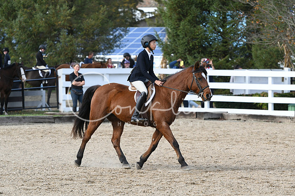 HSM_2442