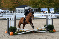 HSM_2445