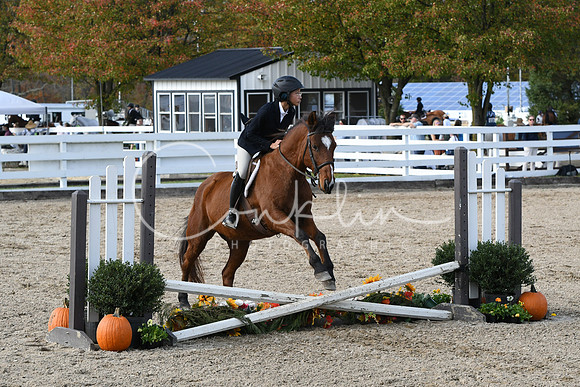 HSM_2445