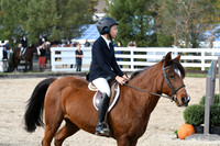 HSM_2446
