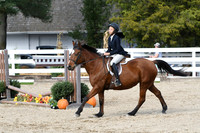 HSM_2448