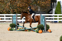 HSM_2520