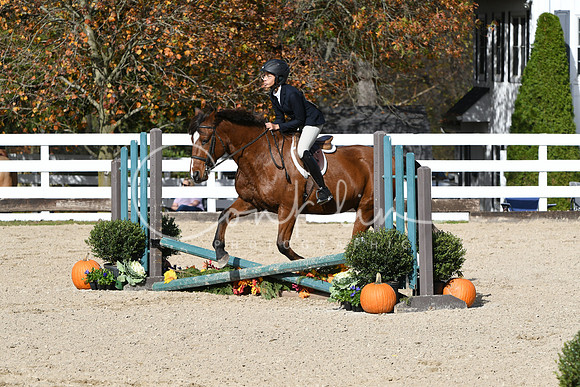 HSM_2520