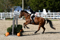 HSM_2523
