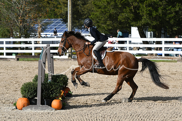 HSM_2523