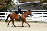 HSM_2525