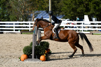 HSM_2524