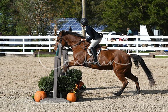 HSM_2524
